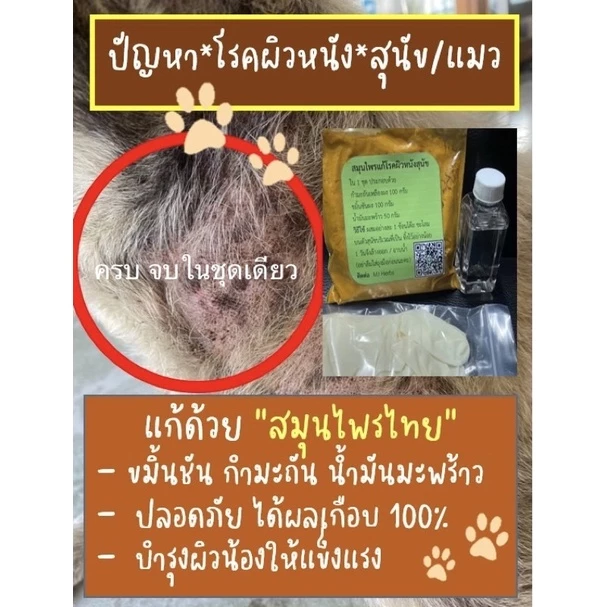 ผงสมุนไพร ขมิ้นชัน กำมะถัน บำรุงผิว สุนัข แมว ขนาดบบจุ 250 กรัม