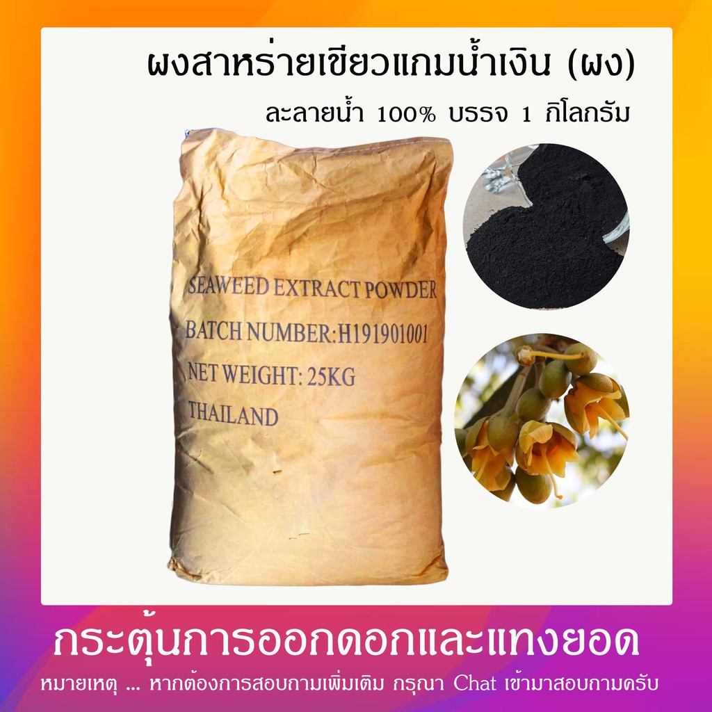 My Image 16