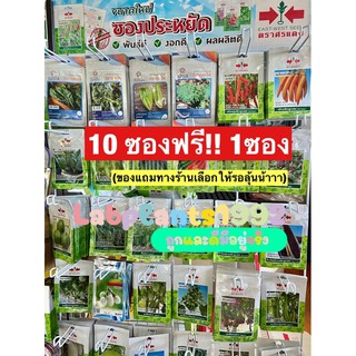 เมล็ดผักสวนครัวราคาถูก‼️10ฟรี1‼️ซองประหยัดตราศรแดงมีให้เลือกหลายชนิด พันธุ์ดี งอกดี ผลผลิตดีปังปัง🌿