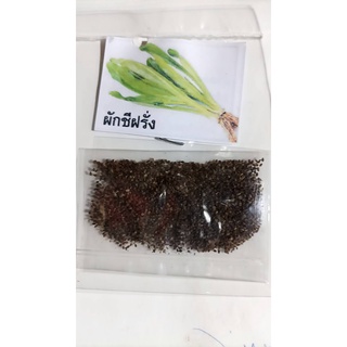 เมล็ดพันธุ์ผักชีฝรั่ง ซองละ 29 บาท