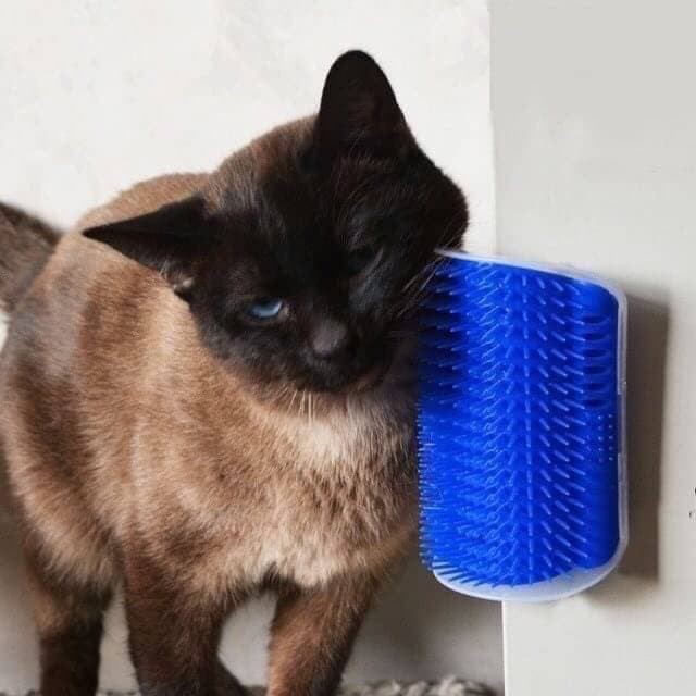 แปรงหวีขนแมวCATITติดผนัง