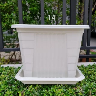 ถูกและหนา‼️กระถางเหลี่ยมทรงโรมัน(ทรงสูง)มีขา หนา 7"/10"/14" ❌️กระถางกับจานขายแยกค่ะ❌️ สีขาวครีม/เทา/ดำ/อิฐ