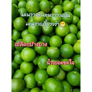 🎯พร้อมส่งจร้า🍋มะนาวจร้ามานาวเปรียวเปรี้ยวจร้า🍋ขายเป็นกิโลจร้า