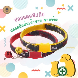 ปลอกคอนิรภัย ผ้ายีนส์ ใส่ได้นาน เปื้อนยาก ปลอกคอแฟชั่น ปลอกคอแมว ปลอกคอสัตว์เลี้ยง ปลอกคอนิรภัยแมว