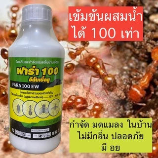 ไซเพอร์เมทริน10% ซิเวสเตอร์ ฟาร่า100 กำจัดมดแมลง ทุกชนิด ไม่มีกลิ่น ปลอดภัยสำหรับ ใช้ในบ้าน มี อย