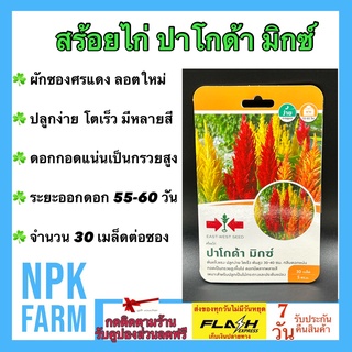 ผักซอง ศรแดง สร้อยไก่ ปาโกด้า มิกซ์ จำนวน 30 เมล็ด/ซอง เมล็ดพันธุ์ ลอตใหม่ ดอกมีหลากหลายสี ต้นแข็งแรง ปลูกง่าย โตเร็ว