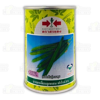 🌱 ศรแดง 🇹🇭 บวบเหลี่ยมลูกผสม ฟาโรห์ F1 ขนาดบรรจุประมาณ 50 กรัม อายุเก็บเกี่ยว 38-42 วัน