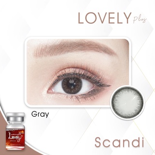 🔥 คอนแทคเลนส์ ✨ขนาดมินิ✨Gray✨ Scandi (Lovelylens)