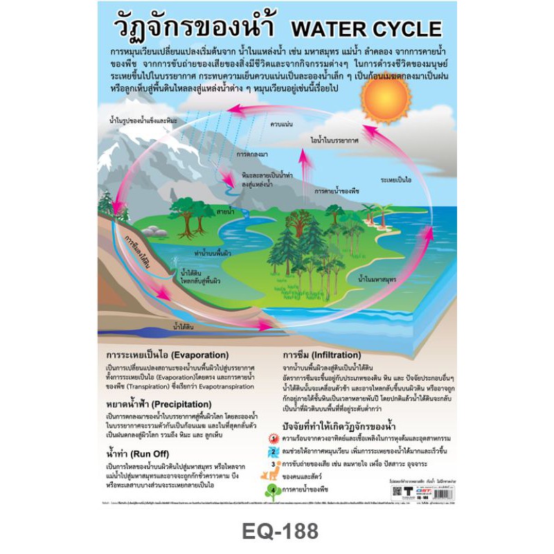 วัฏจักรของน้ำ WATER CYCLE #EQ-188 โปสเตอร์ภาพ กระดาษหุ้มพลาสติก