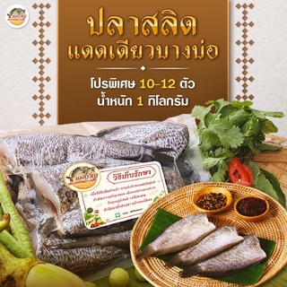 (เจ้าเก่าเจ้าดัง เค็มน้อยอร่อยมากก) ปลาสลิดแดดเดียว 10-12 ตัว 1 กิโลกรัม