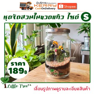 สวนขวด DIY ชุดจัดสวน ไซต์ S เบสิค ราคา 189 บาท มีสินค้าพร้อมส่ง