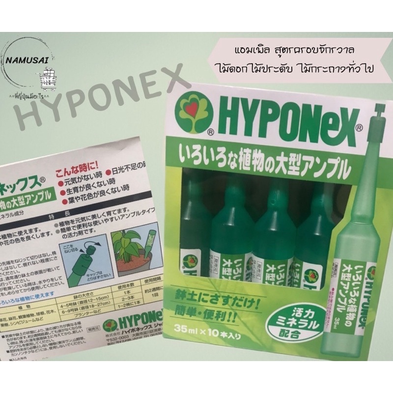 🔥 พร้อมส่ง!!! ปุ๋ยปักสีเขียวเข้ม (ยกกล่อง) 🌿 ไฮโปเนกซ์ Hyponex ampoule