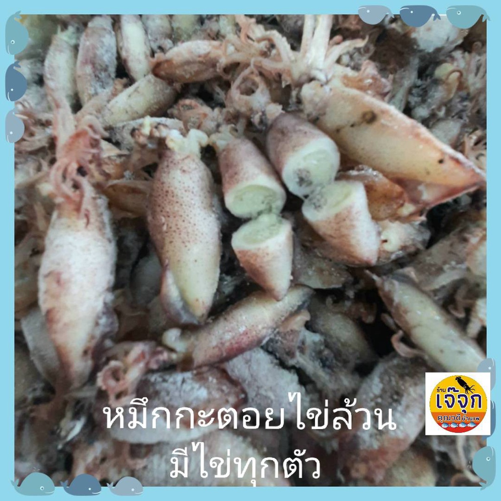 หมึกกะตอยต้มมีไข่ หมึกกะตอยไข่ล้วน มีไข่ทุกตัว สดใหม่ ซีลสูญญากาศ  ปลาหมึกกะตอย จืด สะอาดทอด ผัดกระเ