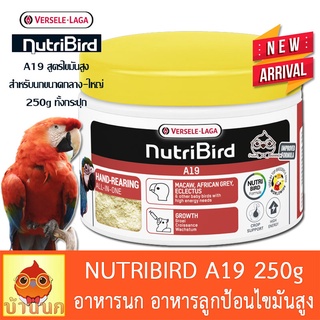 Nutribird A19 กระปุก 250g (โฉมใหม่) อาหารนก ลูกป้อน อาหารลูกนก ของแท้ นิวทรี นกที่ต้องการพลังงานไขมันสูง high fat