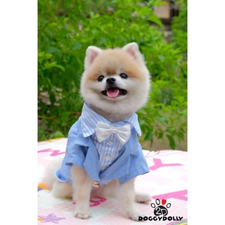 Pet cloths - Doggydolly  เสื้อผ้าแฟชั่น สัตว์เลี้ยง ทักซิโด้ ชุดหมาแมว สูท โบว์ด้านหน้า  แต่งงาน-เจ้าบ่าว  F07