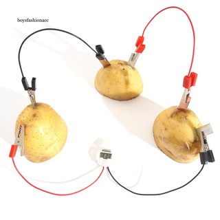 BFA_DIY Potato Fruit Power Battery Bio Energy Light Diode Clock Kit Experiment Toy