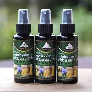 สเปรย์คอ บ่าไหล่ สมุนไพรแก้ปวดเมื่อย (สูตรเย็น 2) 100 ml (exp.07/29) กล้ามเนื้อตึง อาการไหล่ตึง ออฟฟิศซินโดรม ปวดเมื่อย
