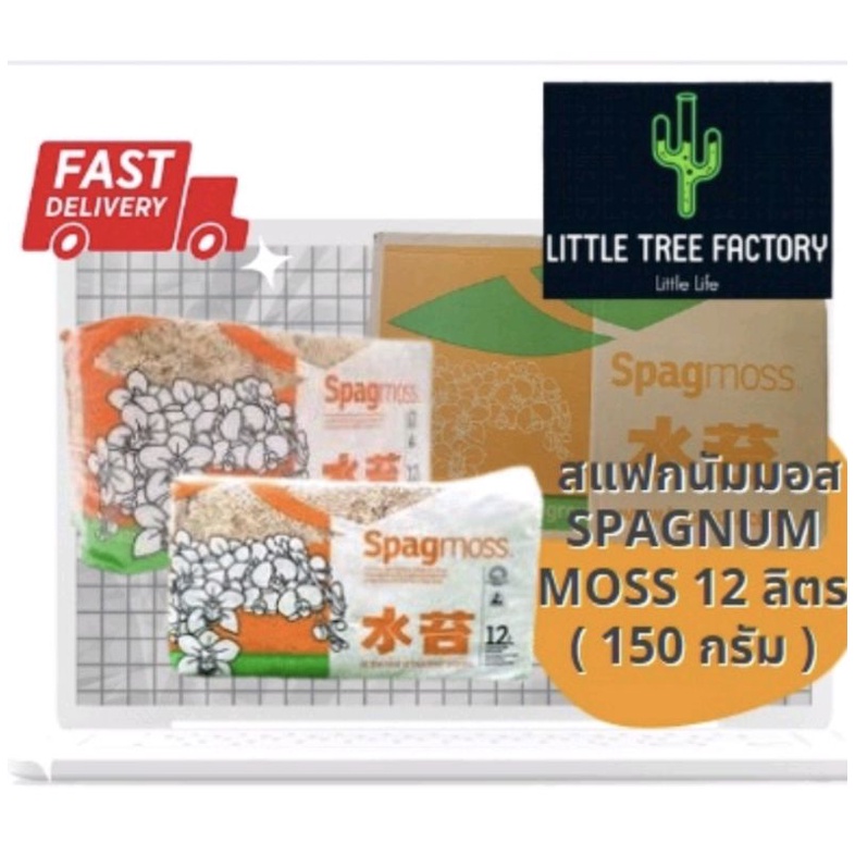 สแฟกนั่มมอส สแฟกนัมมอส นิวซีแลนด์ NZ  วัสดุปลูก ล่อราก Spagmoss 12 L.(150 กรัม) spagnum Sphagnum Mos