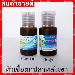 หัวเชื้อตกปลาหลังเขา (ปลาบึก สาวย)(กุ้ง นิล ทับทิม)