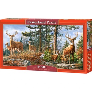 Castorland jigsaw puzzle จิ๊กซอว์ 4000 ชิ้น