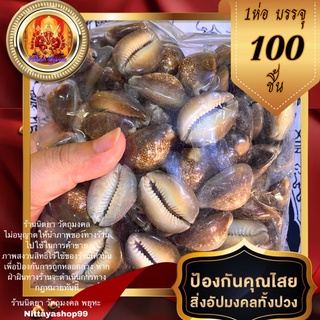 เบี้ยแก้ (100ชิ้น) ป้องกันคุณไสยมนต์ดำ ถ่ายจากสินคาจริง ราคาส่ง เบี้ย เบี้ยแก้