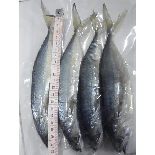 ปลาทูมัน(สูตรเค็มน้อย)