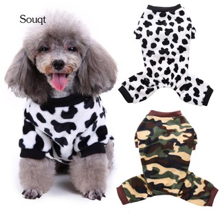 pet supplies for cats