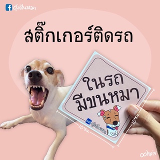 สติ๊กเกอร์ติดรถยนต์ “ในรถมีขนหมา”