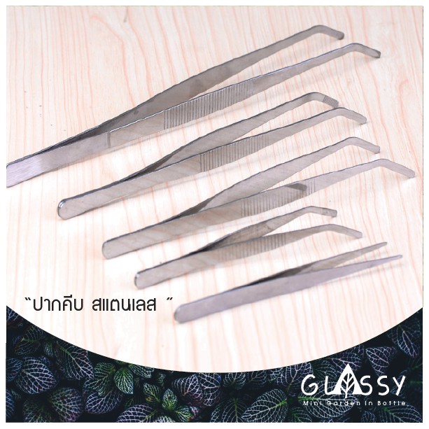 ปากคีบ ฟอร์เซป forceps 25cm. / 19.5cm. / 17.5cm. ปลายตรง/งอ ฟอร์เซปสแตนเลส จัดสวนขวด ตู้ไม้น้ำ ผสมเก