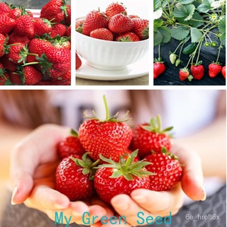 100 Pcs Strawberry Tree Seeds Rare Fruit Bonsai Seed Garden DIY Planting Strawberry Seeds通心菜/芹菜/向日葵/男装/上衣/鲜花/手链/花园/裙子/儿童