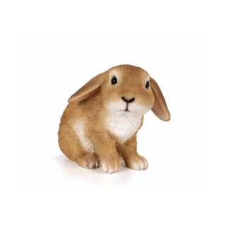 ตุ๊กตาตกแต่งสวน ตุ๊กตากระต่าย ตกแต่งสวน กระต่ายพันธุ์ลอป Holland Lop ตุ๊กตากระต่ายตกแต่งสวน ตุ๊กตาเรซิน กระต่าย