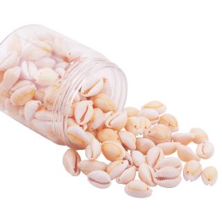 1 Box Cowrie Cowry Seashells Oval Spiral Shells with Holes for Craft 100pcs/box