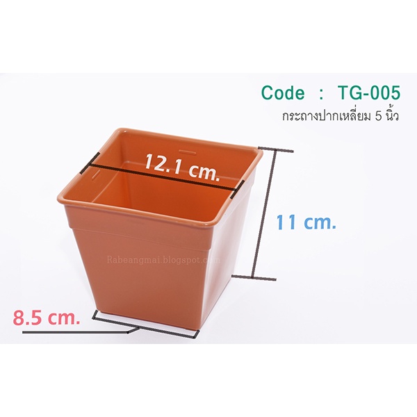 กระถางเหลี่ยม Code : TG-005   ขนาดประมาณ 5 นิ้ว อ่านคำอธิบายด้วยนะครับ