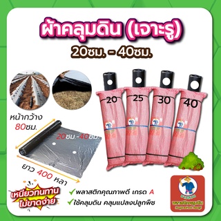 ผ้าคลุมดิน พลาสติกคุลมดิน ผ้าคลุมดินกำจัดวัชพืช (เจาะรู) ระยะ 20,25,30,40 ซม. กว้าง 80 ซม. x 400 หลา