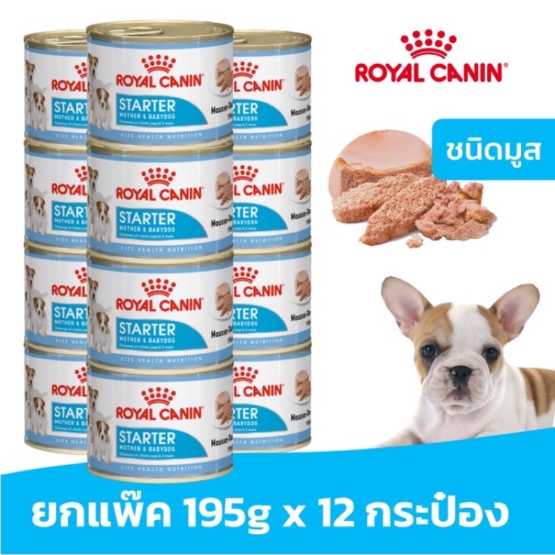 royal canin starter mousse mother & babydog