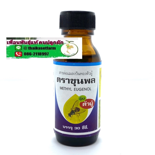 สารล่อแมลงวันทอง ( methyl eugenol 100%)