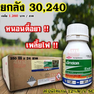 เอ็กซอล ขนาด 250 ซีซี (ยกลัง 24 ขวด)