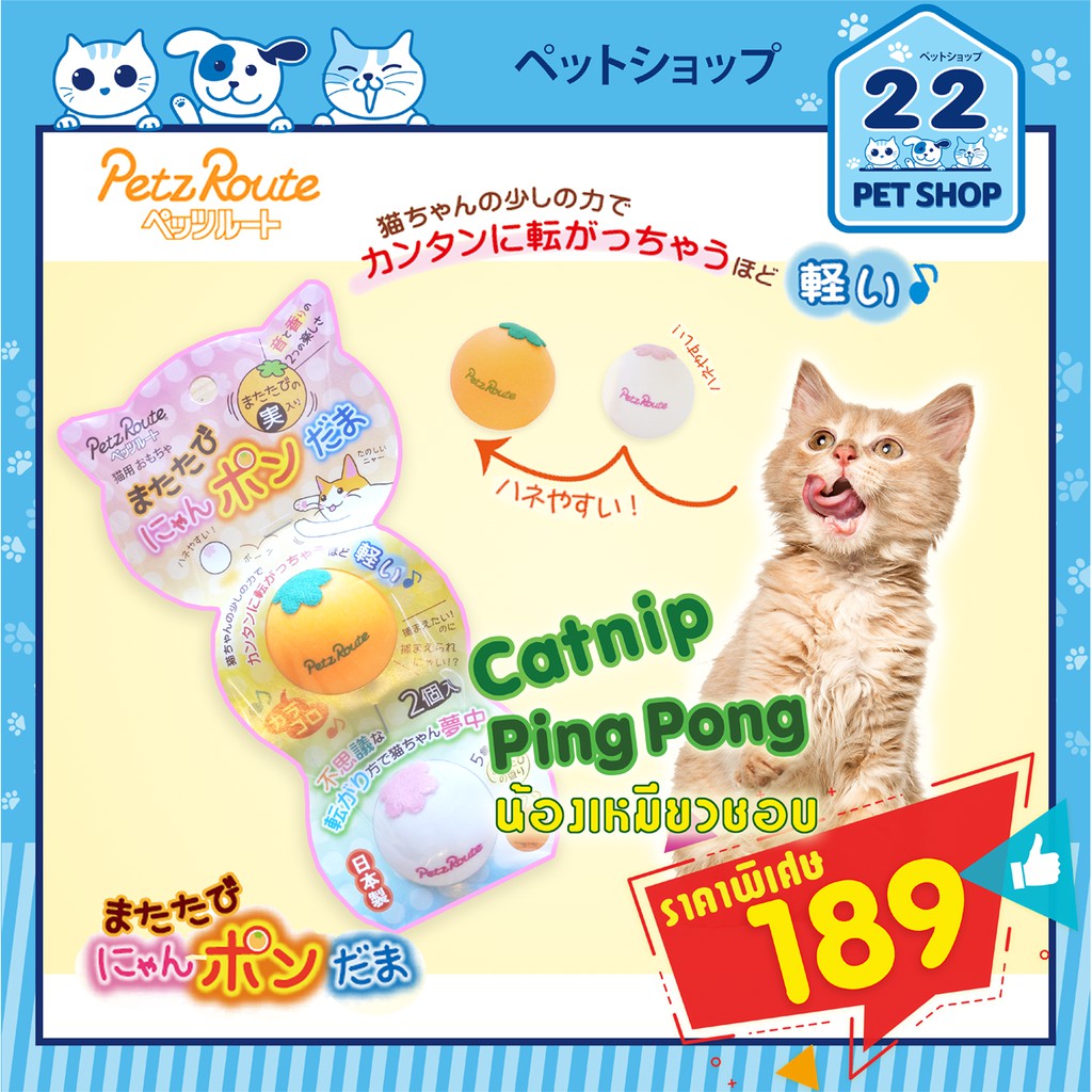 Petz Route ของเล่นแมว ลูกปิงปองใส่แคทนิป นำเข้าจากญี่ปุ่น ใช้เล่นผ่อนคลายในแมว