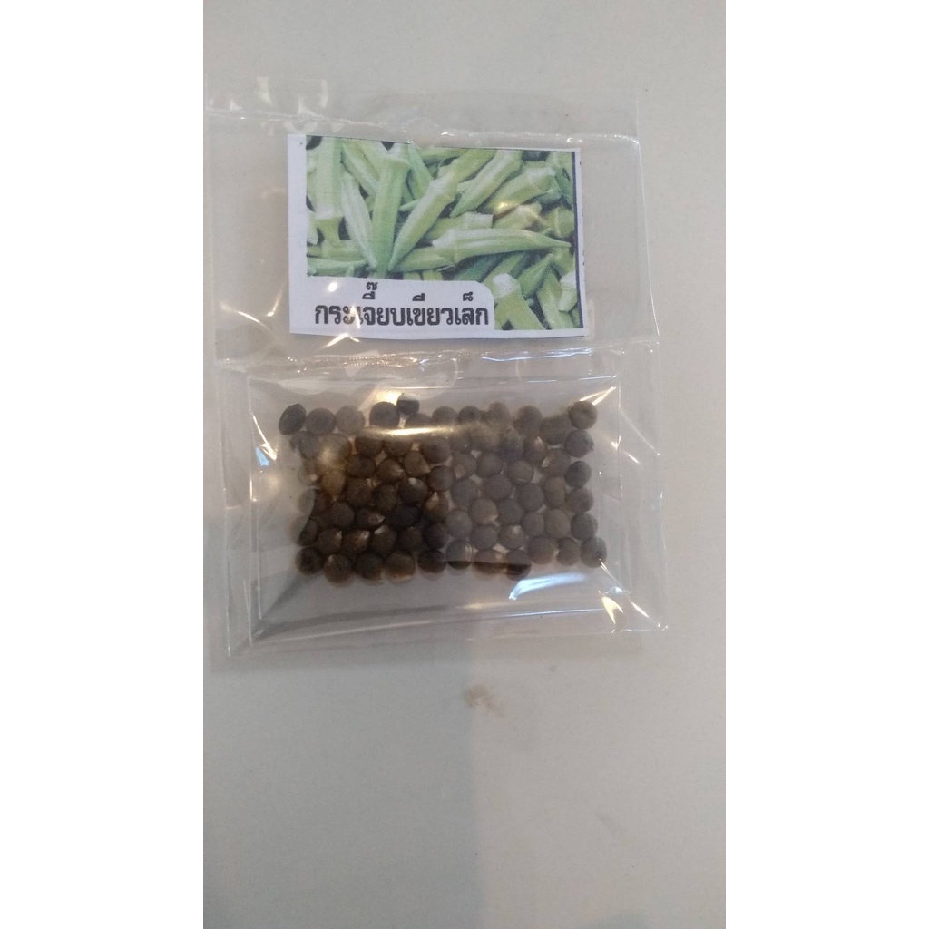 กระเจี๊ยบ (Okra) กระเจี๊ยบเขียว 40 เมล็ด 25 บาท พันธุ์พื้นบ้านไม่ตัดต่อพันธุกรรม สามารถขยายพันธุ์ต่อได้