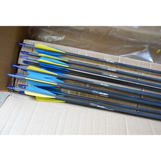 4x ลูกธนู ชุดละ4อัน NIKA Full-Carbon Arrows spine 400 ID6.2mm Length:30in