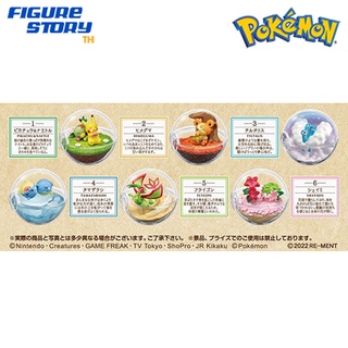 *Pre-Order*(จอง) Pokemon Terrarium Collection 11 6Pack BOX (อ่านรายละเอียดก่อนสั่งซื้อ)