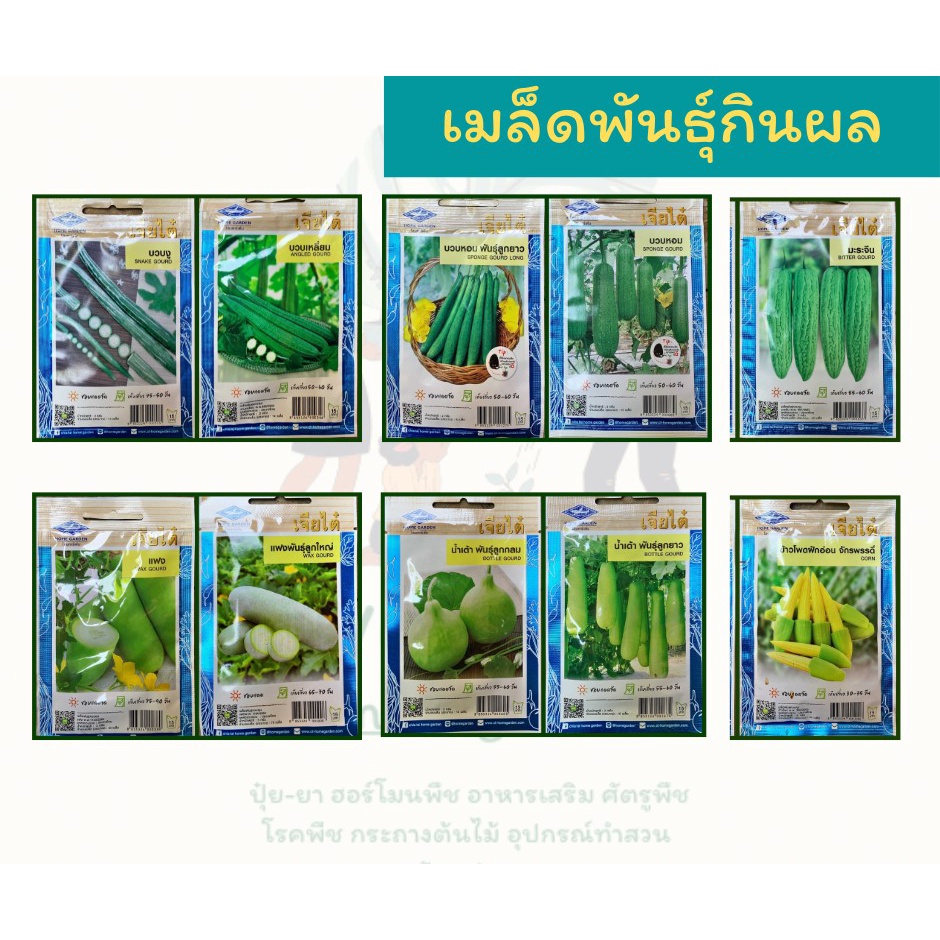 เมล็ดพันธุ์ผักกินผล เมล็ดผักสวนครัว ราคาถูก 8 บาททุกซอง ตราเจียไต๋ ตราสามเอ ตราศรแดง ตราภูเขาทอง ตราสี่ทิศ