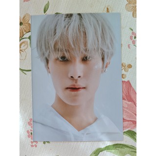 [พร้อมส่ง/YES24 Special Gift] โปสการ์ด หยางหยาง Yangyang ปฏิทิน WayV 2021 Seasons Greetings Postcard