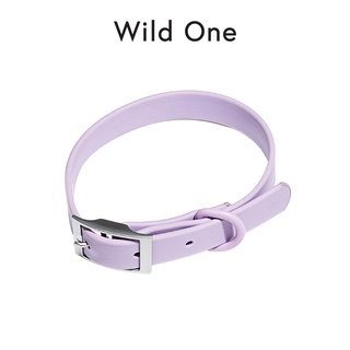 Wild One - Collar ปลอกคอสุนัข │ Lilac