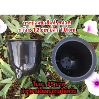 กระถาง ขาสิงห์ ใบละ 19 บาท