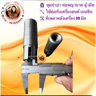 จำปาแบบลิ่ม ท่อพญานาค-รอบเร็ว