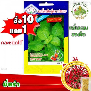 [10แถม1] 3A เมล็ดพันธุ์ ยี่หร่า 200 เมล็ด กลิ่นหอม รสเผ็ด เมล็ดพันธุ์สามเอ Tree basil เมล็ดผักสวนครัว เมล็ดพืชed O4C3