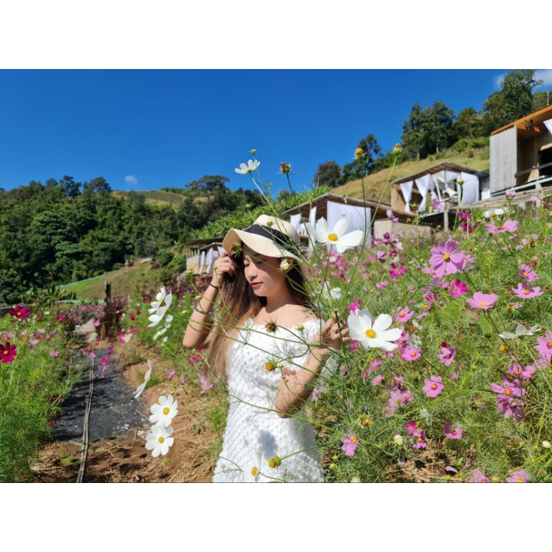 MEERADA LIVE เริ่มต้น 600 บาท