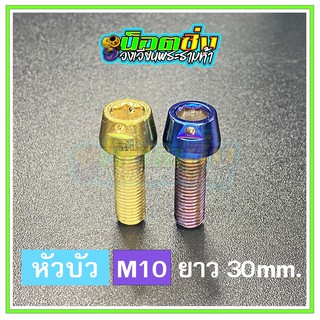 น็อตสแตนเลส หัวบัว ขนาดเกลียว m10 ยาว 30 mm.