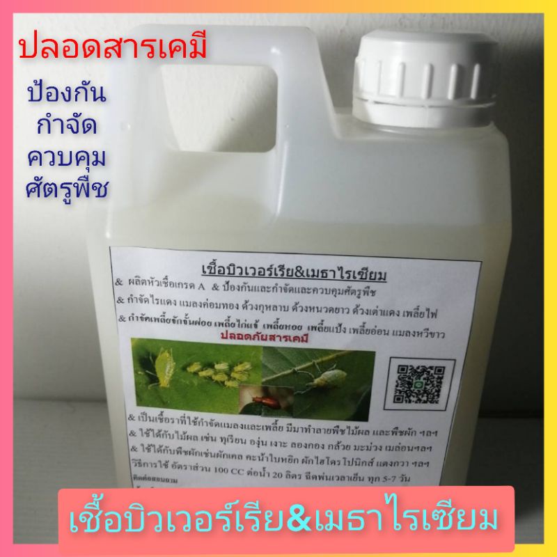 เชื้อบิวเวอร์เรีย&เมธาไรเซียม ขนาด1ลิตร